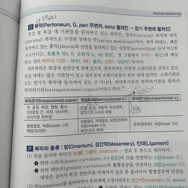 인체해부학 (은학사), 아두이노 101, 최신 간호학개론 (현문사)