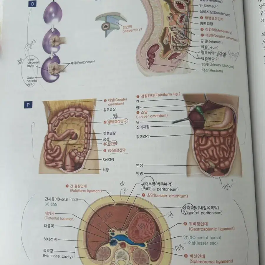 인체해부학 (은학사), 아두이노 101, 최신 간호학개론 (현문사)