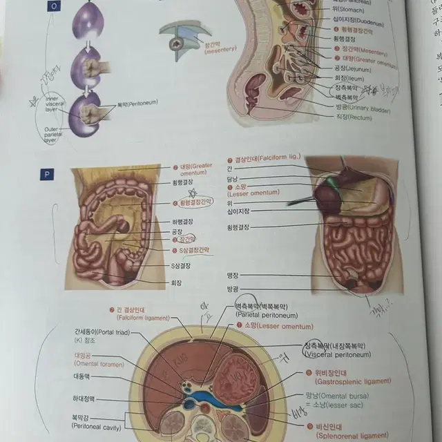 인체해부학 (은학사), 아두이노 101, 최신 간호학개론 (현문사)