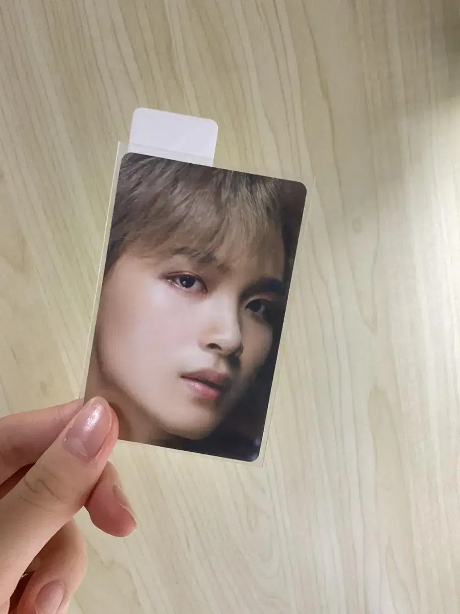 nct 127 dream haechan photocard unofficial goods wangchang dream