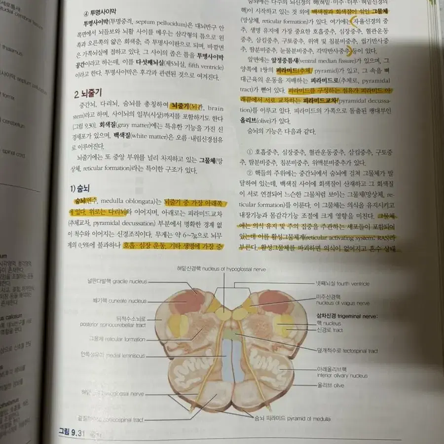 보건의료인을 위한 해부학