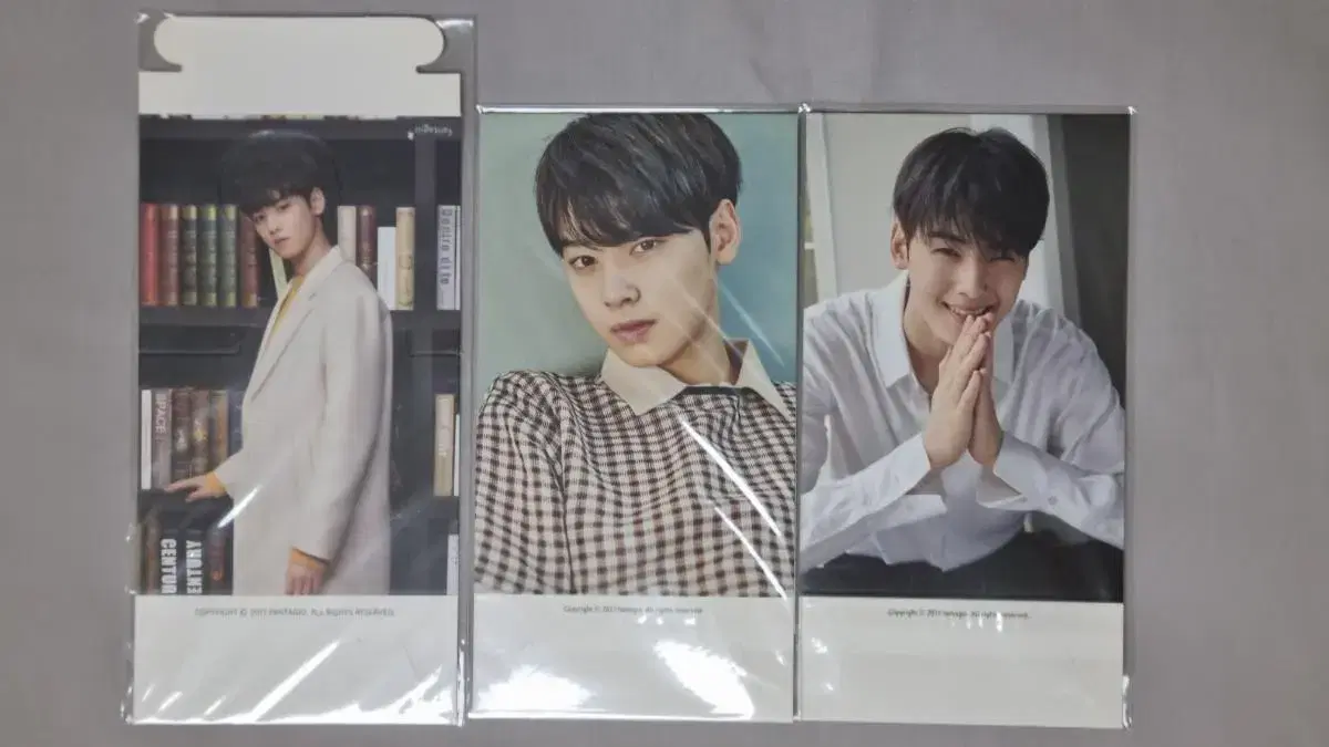 Astro cha eunwoo paper stands in bulk