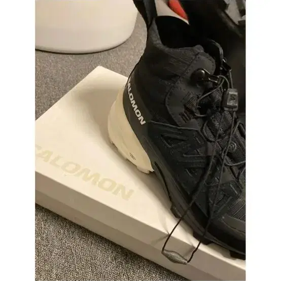 MM6 x SALOMON