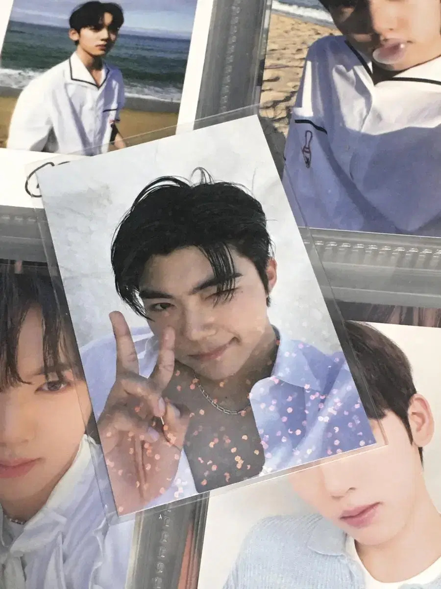 zb1 park gunwook dikon special photocard