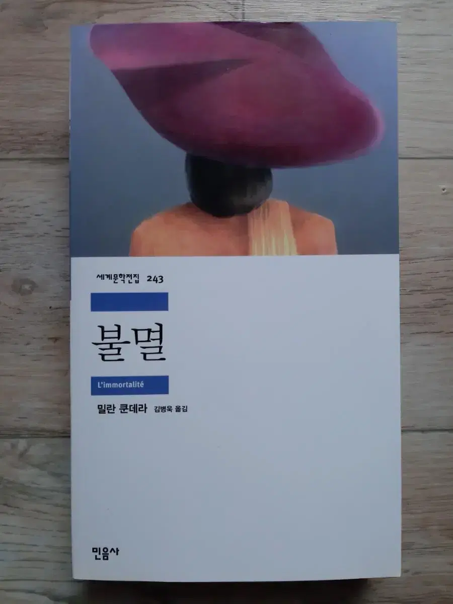 밀란 쿤데라의 <불멸>