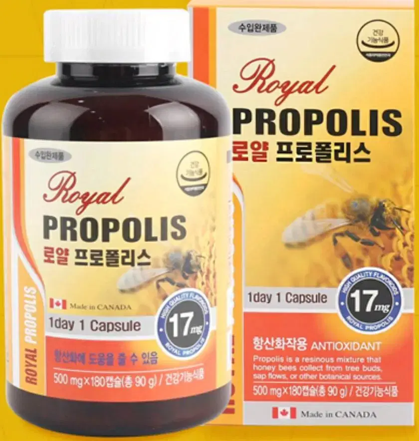 로얄프로폴리스 500mg 6개월분 180캡슐