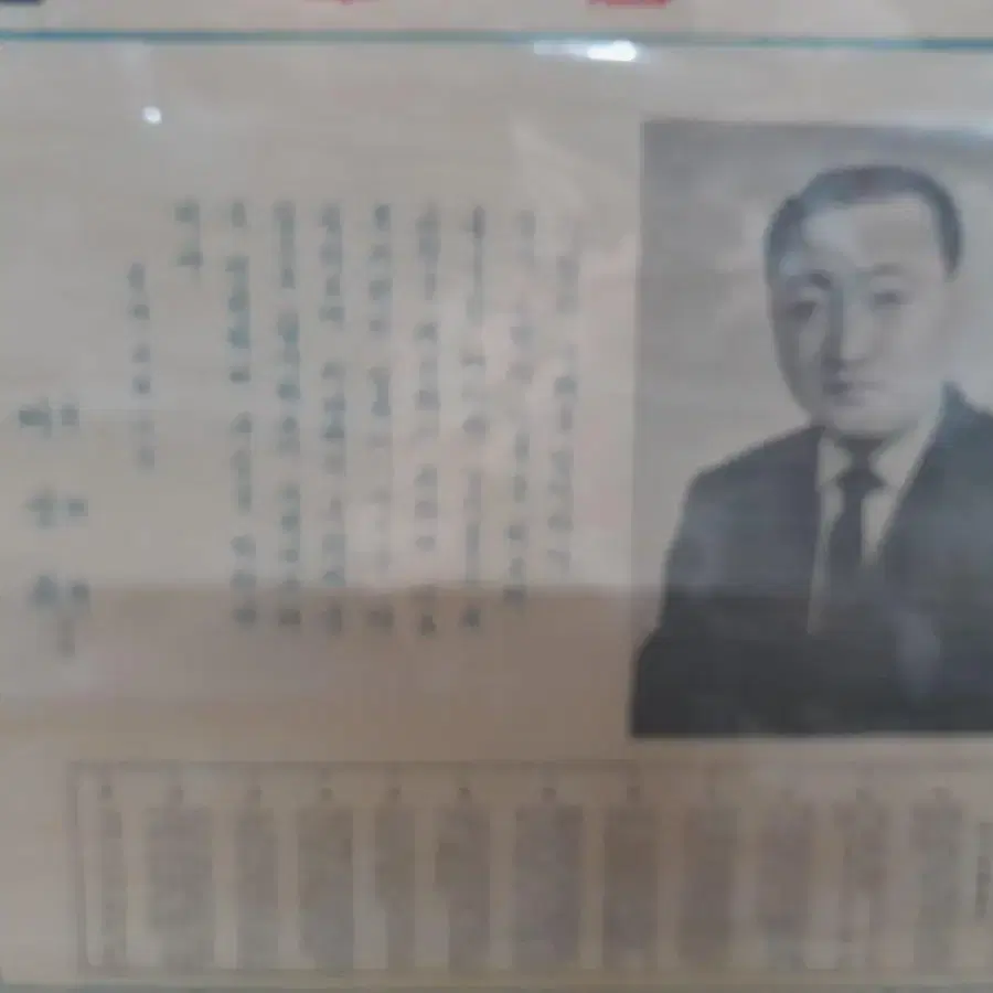 1965년 선거달력