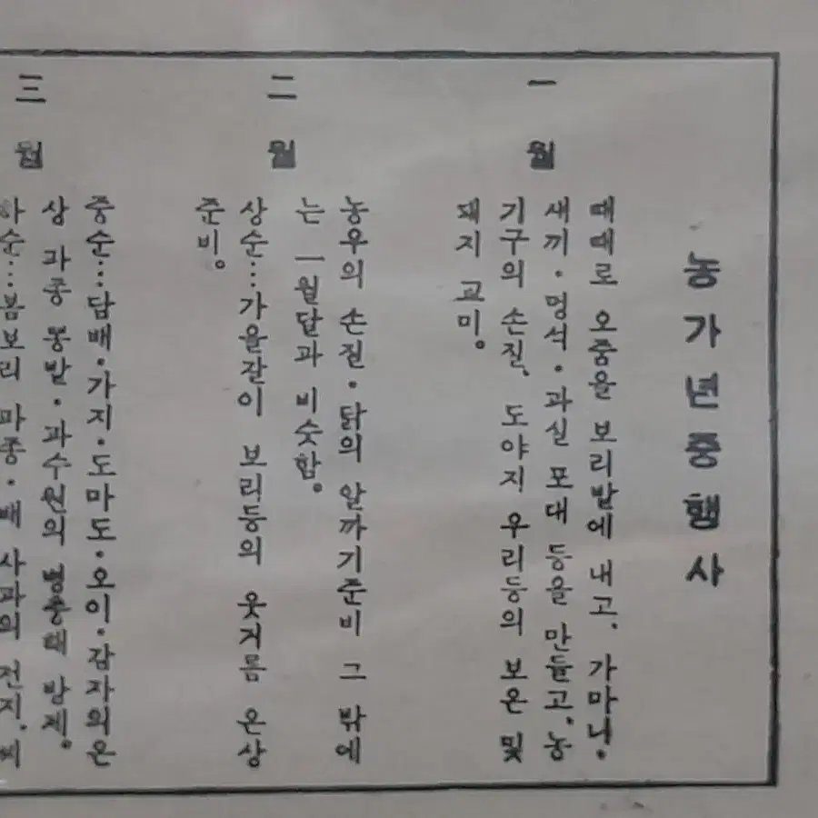 1965년 선거달력