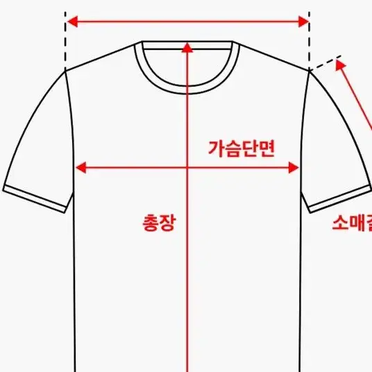 스투시 반팔 (STUSSY DESIGN GROUP 21 T-SHIRT)