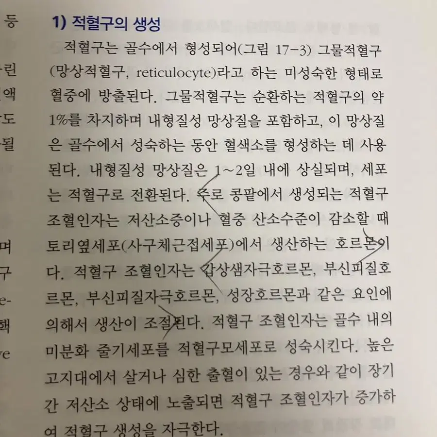 성인간호학 하권 7판