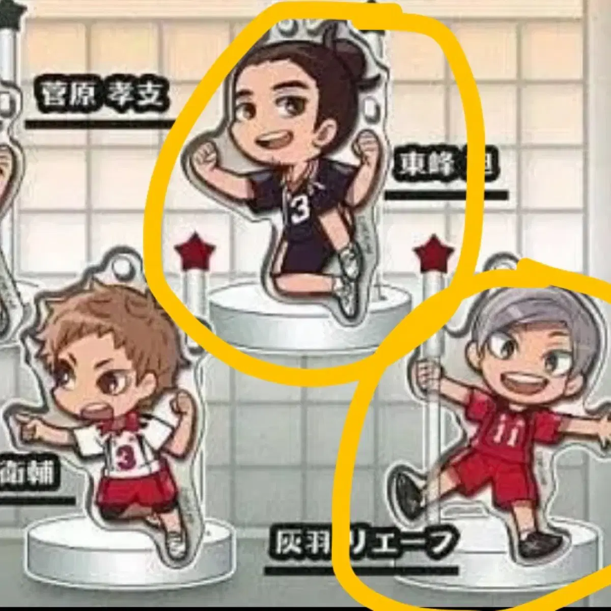 Haikyuu gacha decorative