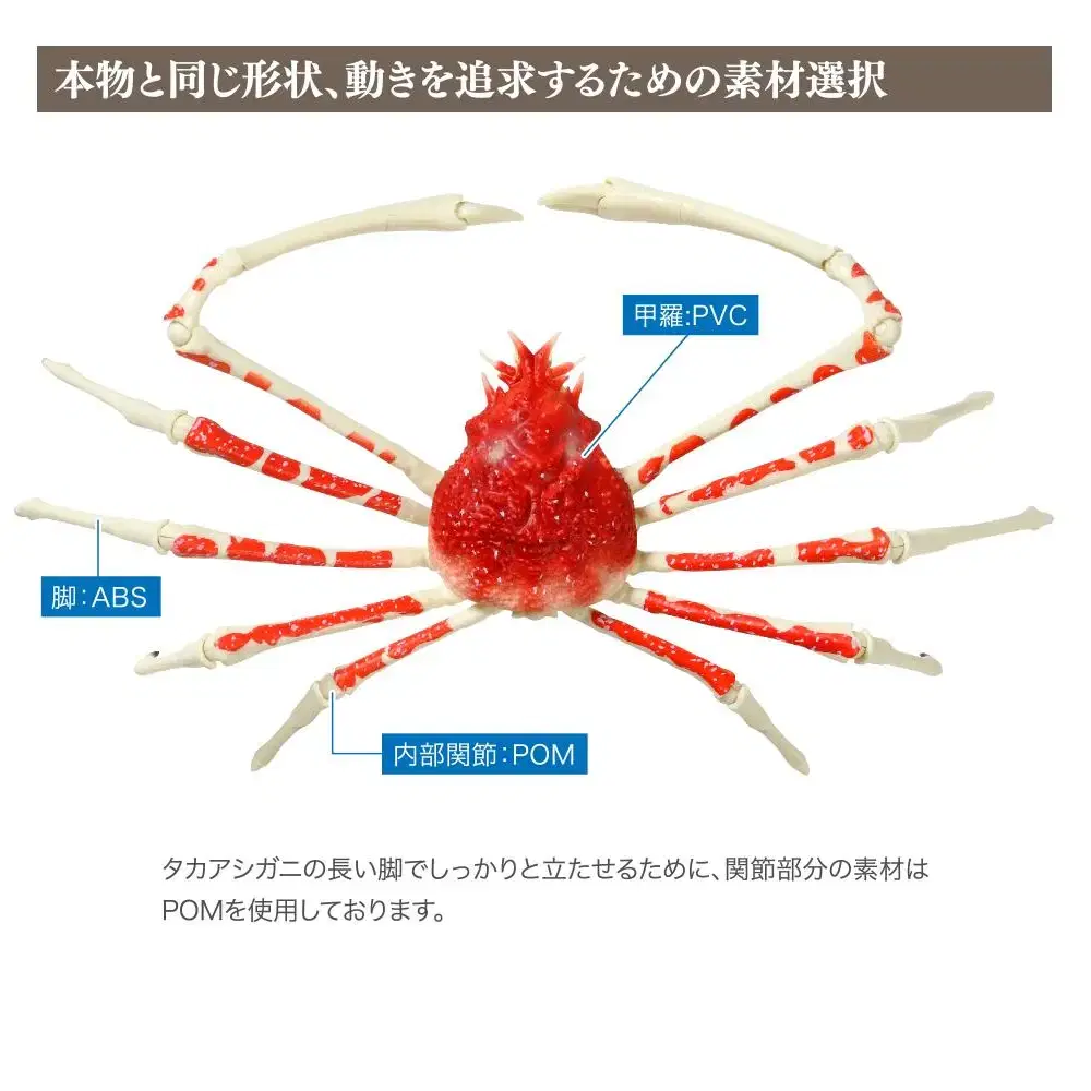 반다이 키다리게 일본거미게 단품 가챠 피규어 낚시 장난감 동물