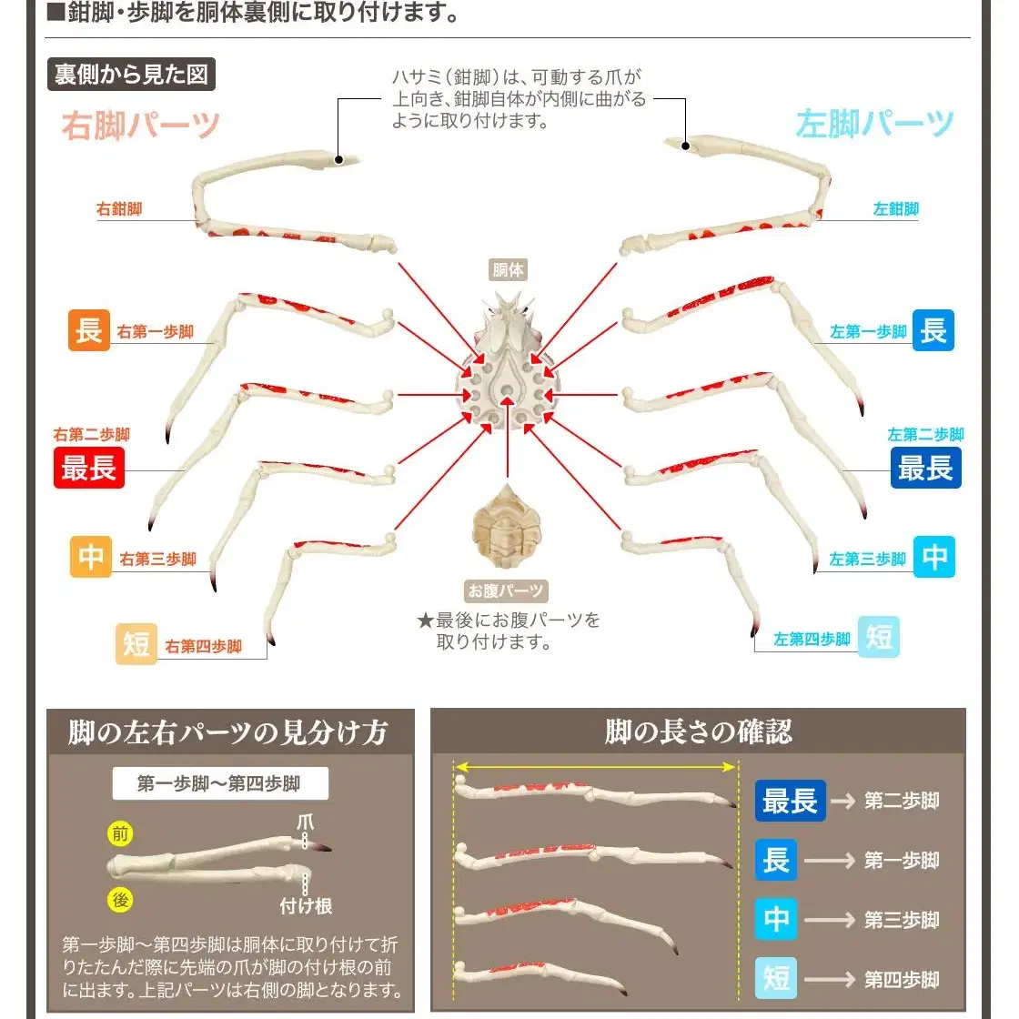 반다이 키다리게 일본거미게 단품 가챠 피규어 낚시 장난감 동물