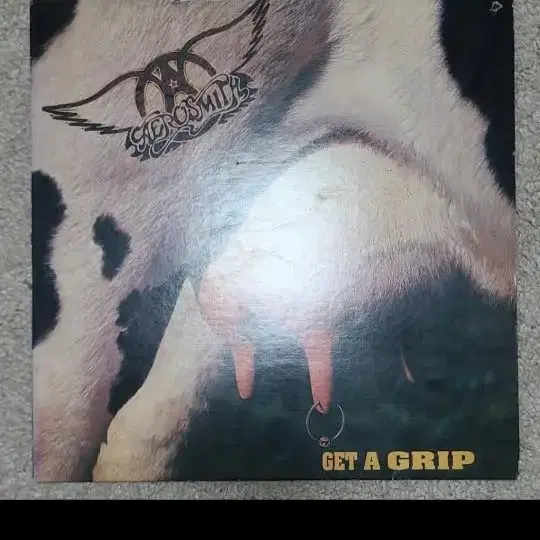 Aerosmith - Get A Grip LP 엘피