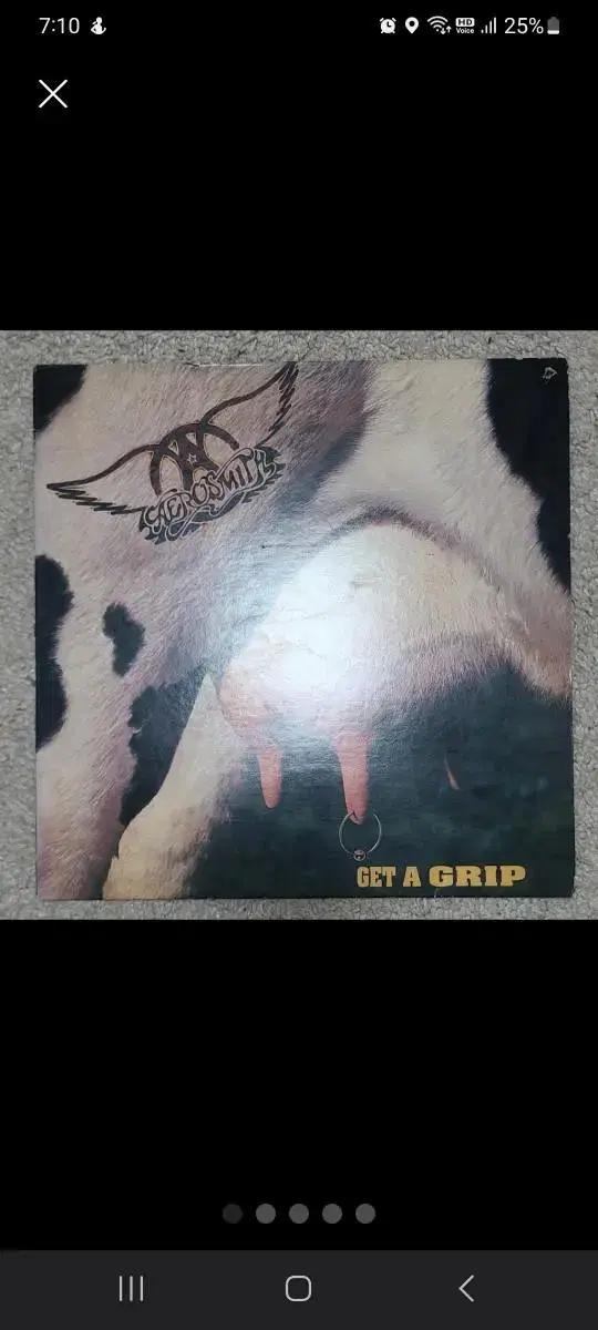 Aerosmith - Get A Grip LP 엘피