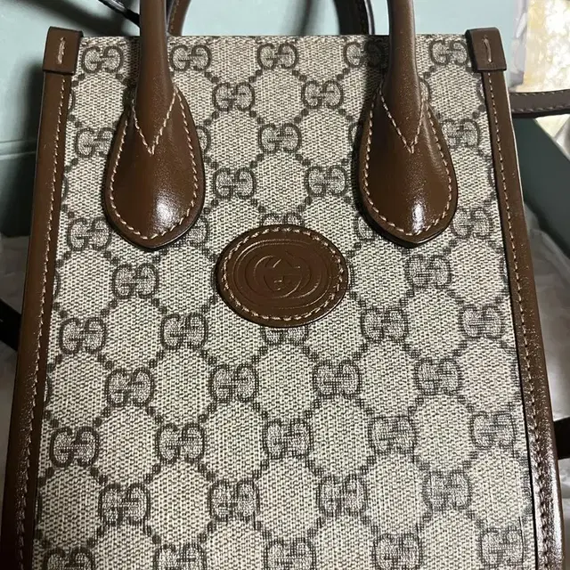 GUCCI 구찌 미니 GG 로고 Beige & Brown