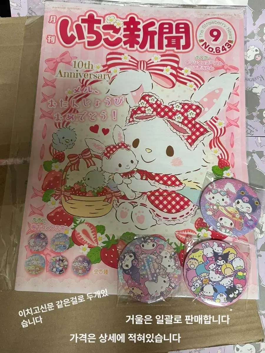 Ichigo Shimbun Sanrio Mirror Goods