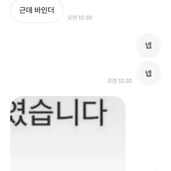 박제 윤토끼1004