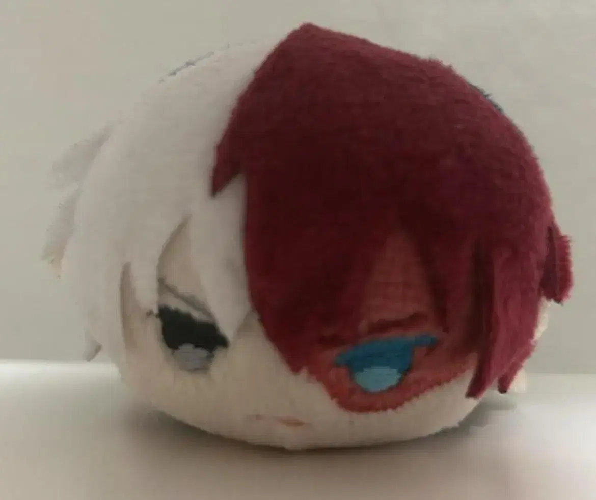 Shoto Mochi