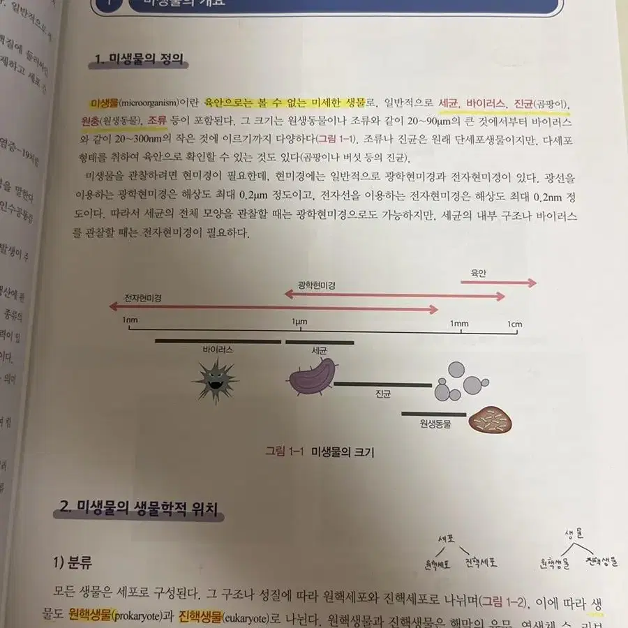 알기 쉬운 미생물학