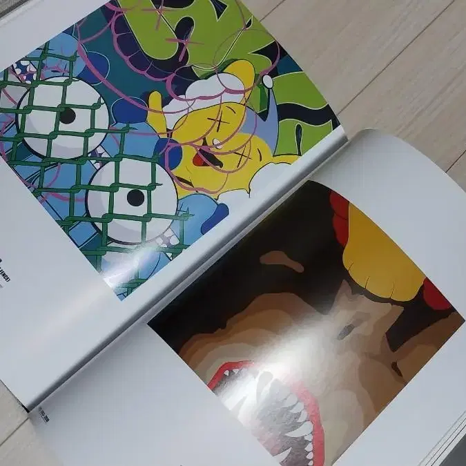 KAWS 카우스 아트북 RIZZOLI Electa