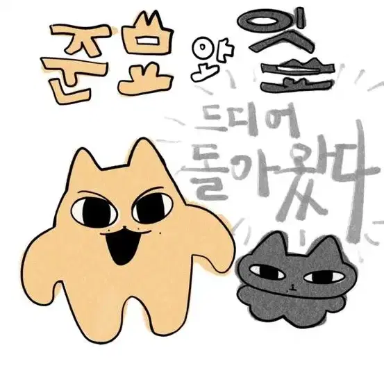 세븐틴 문준휘 인형 준묘 양도