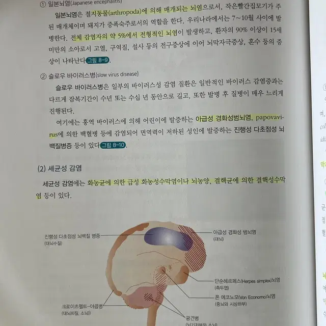 수문사 - 새로 쓴 병리학(20년도 출판)