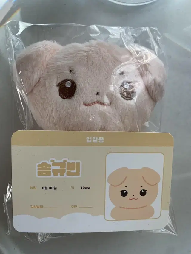 솜규빈 10cm 인형 팔아요