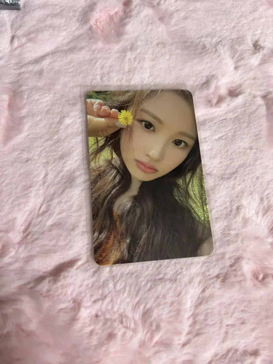 NMIXX Sullyoon Photocard