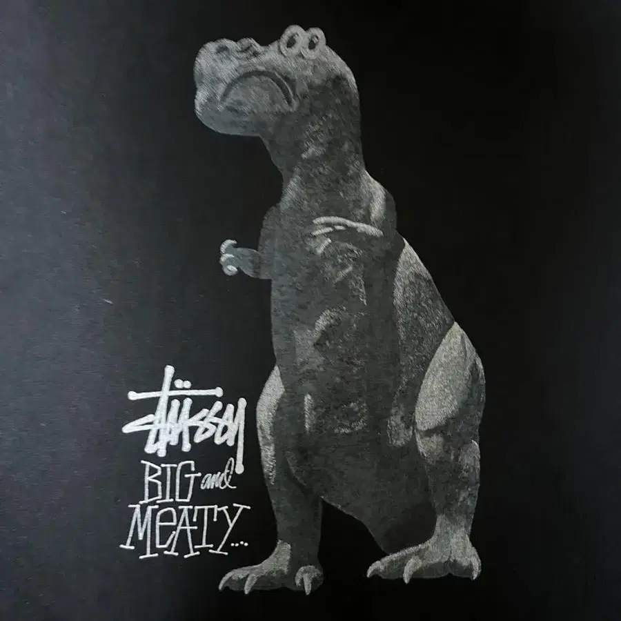 Stussy Big&meaty 피그먼트 티셔츠