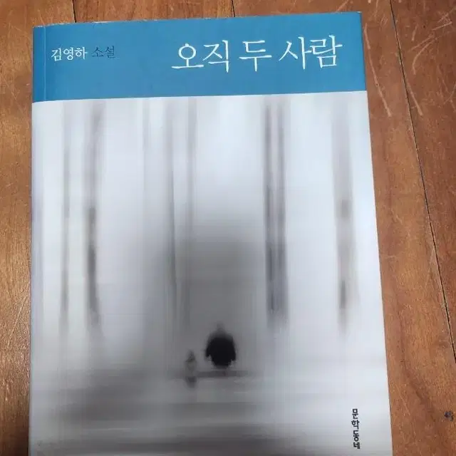 오직 두 사람(김영하)