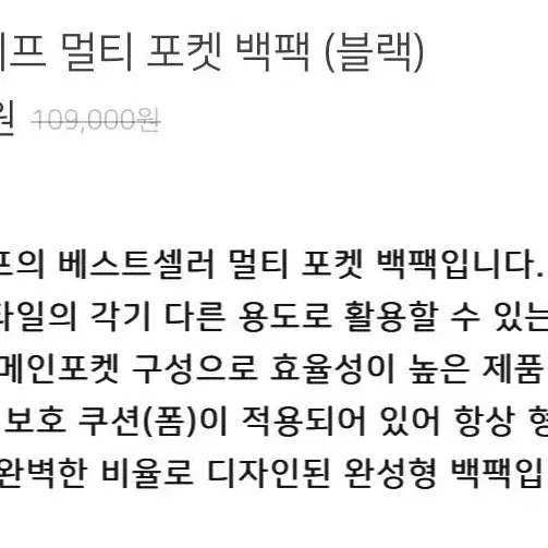 데이라이프 멀티 포켓 백팩