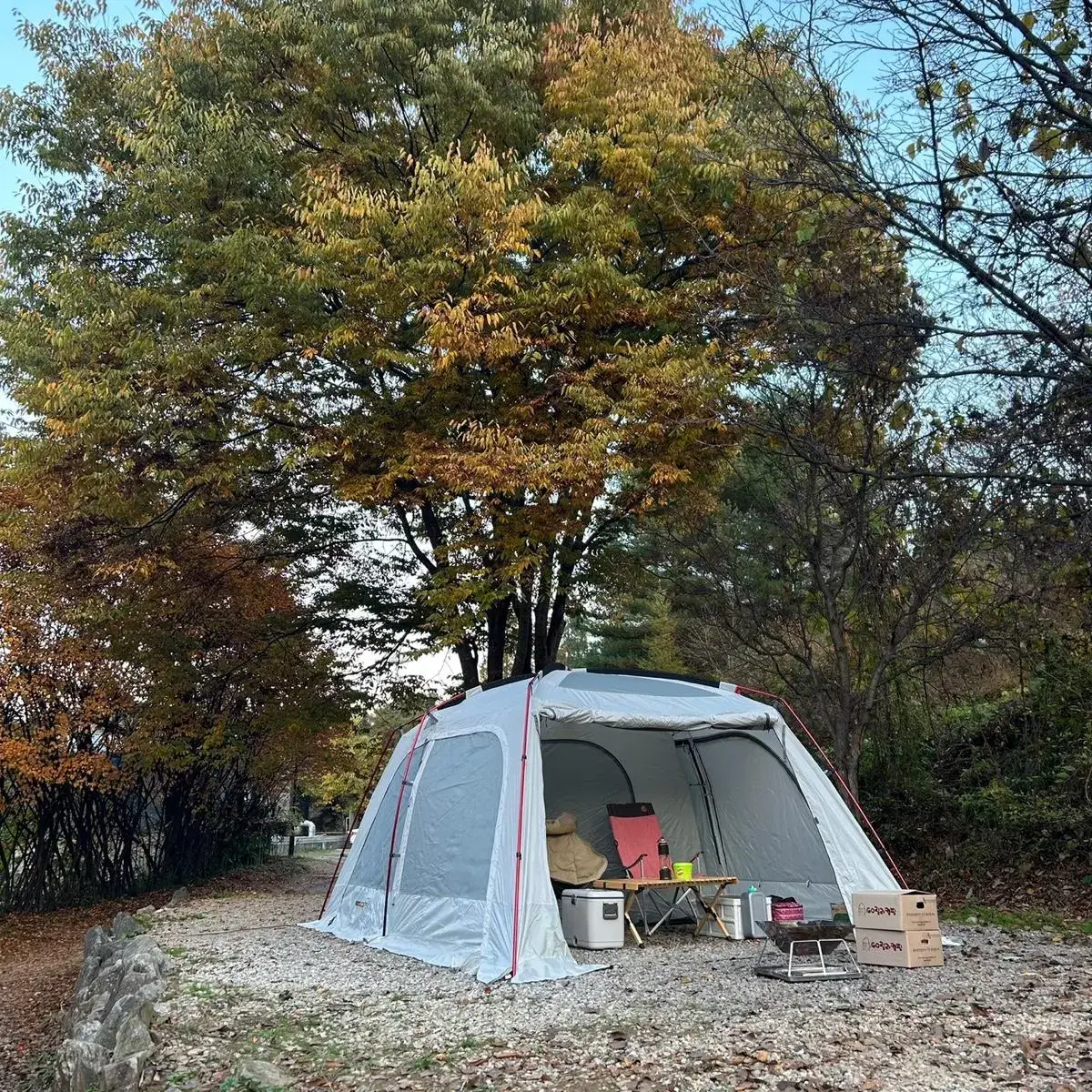 캠핑텐트 고투 아스트라인 브라이트에디션 크림색 팝니다:)