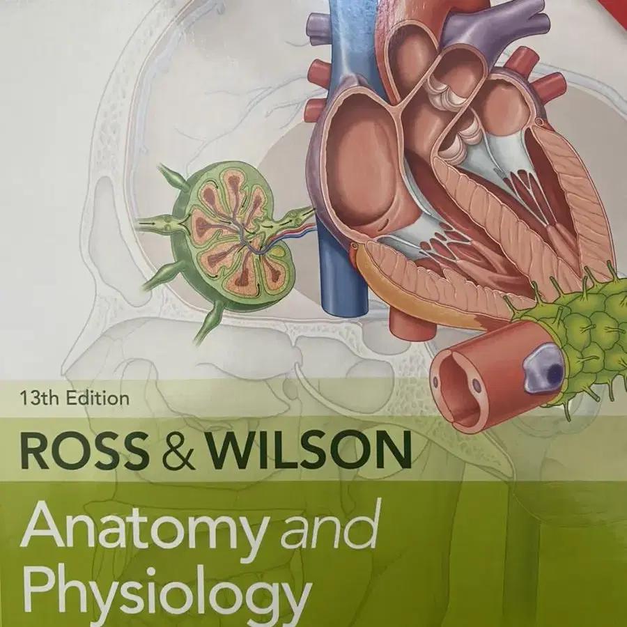 Anatomy and Physiology in Health&Illness