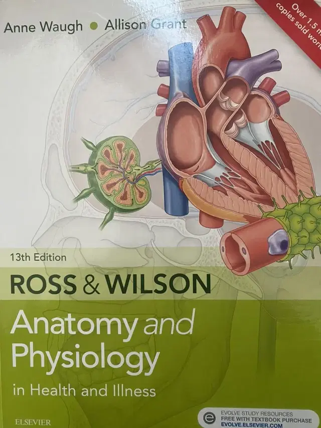 Anatomy and Physiology in Health&Illness