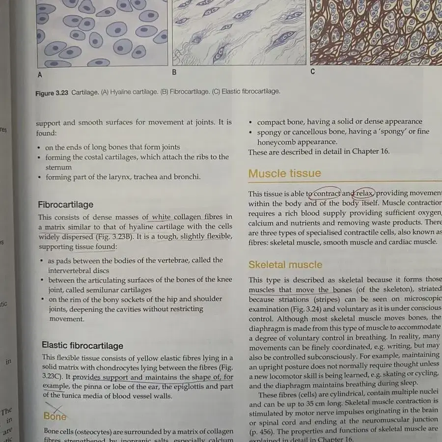 Anatomy and Physiology in Health&Illness