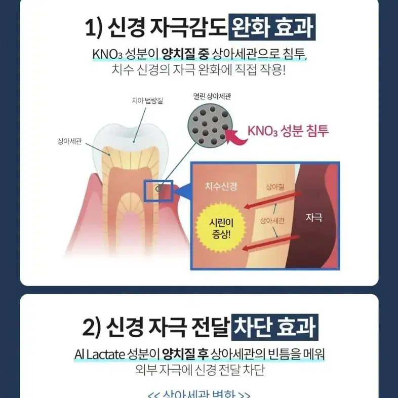 [새상품] 시스테마 시린덴트 치약 (정가 6500원)