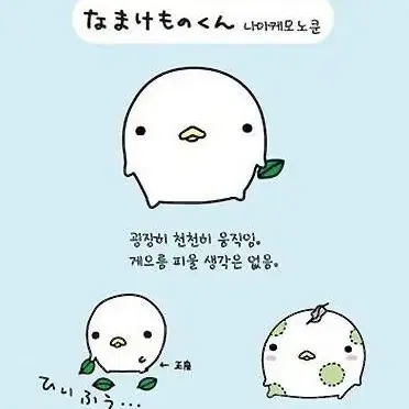 구함글)카피바라상 나마케모노군 굿즈 매입