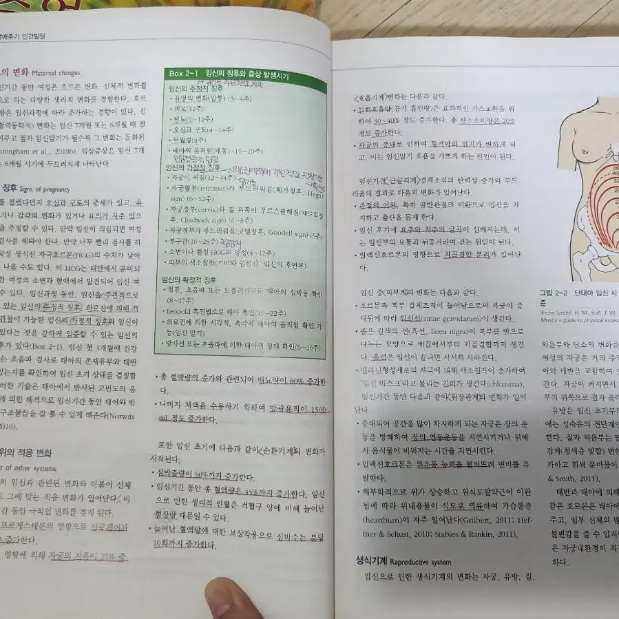 대학 교양책 팝니다 (간호학과), mos2016 책 팝니다.