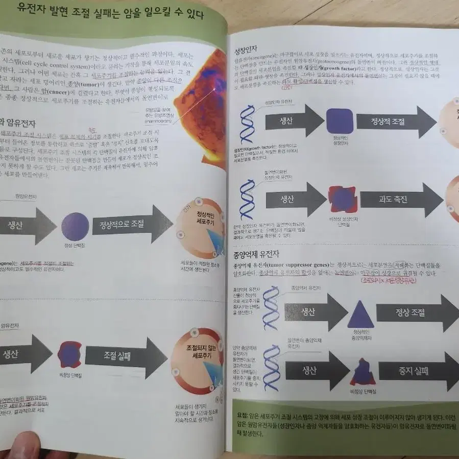 대학 교양책 팝니다 (간호학과), mos2016 책 팝니다.