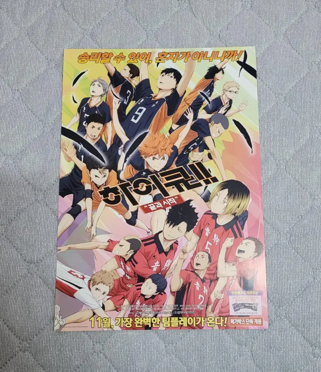 Haikyuu Brochure