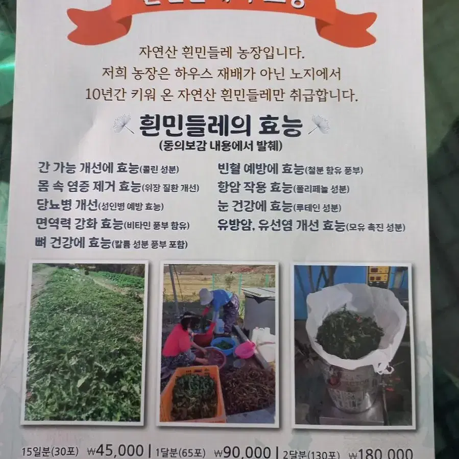 민들레 한우곰탕