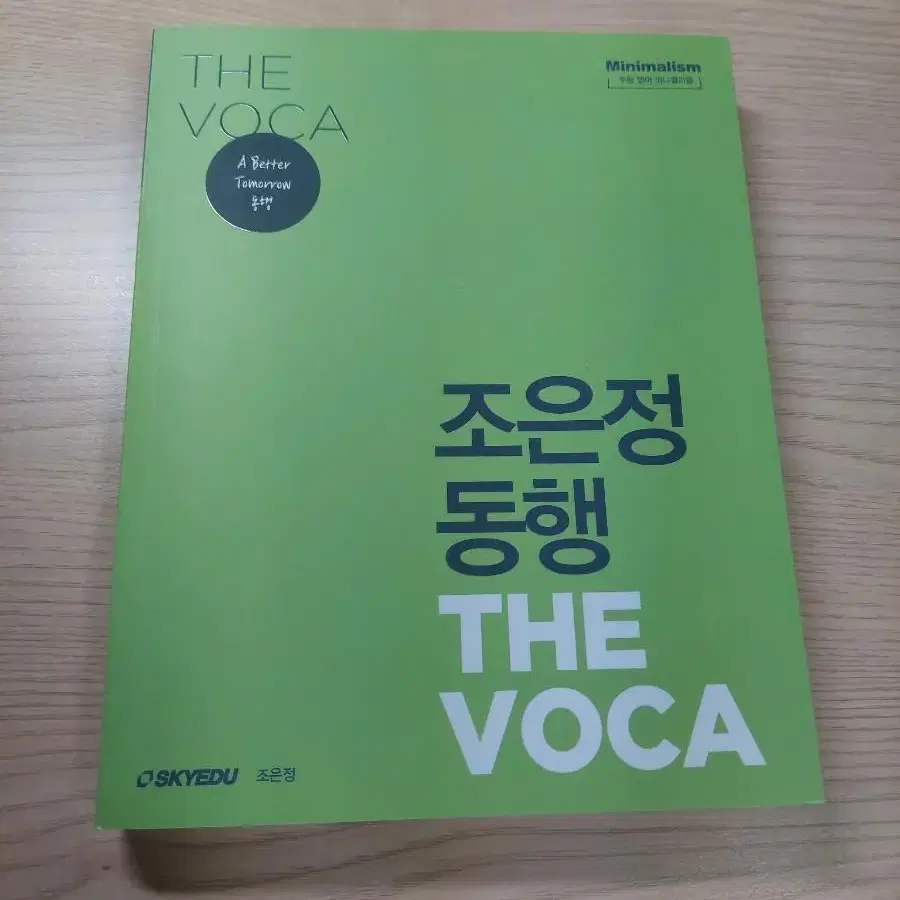 시대인재 조은정 동행 voca