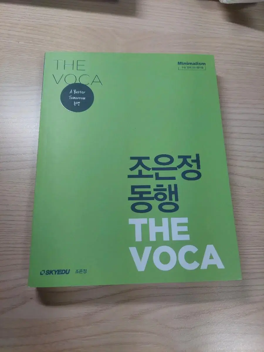 시대인재 조은정 동행 voca