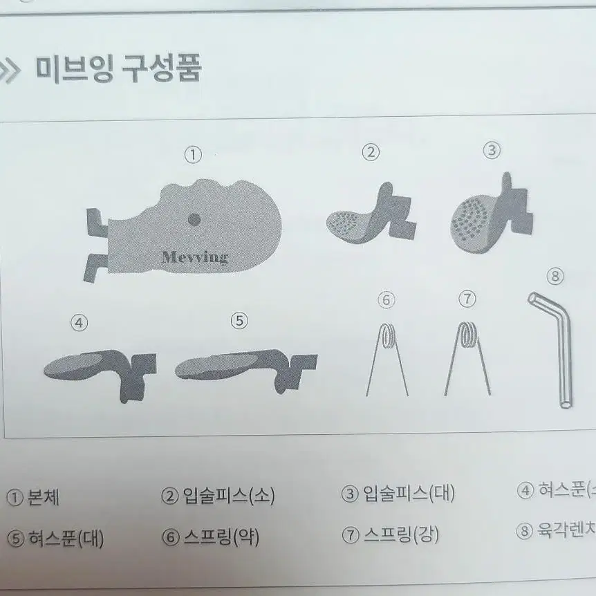 데일리원더 미브잉 텅 트레이너