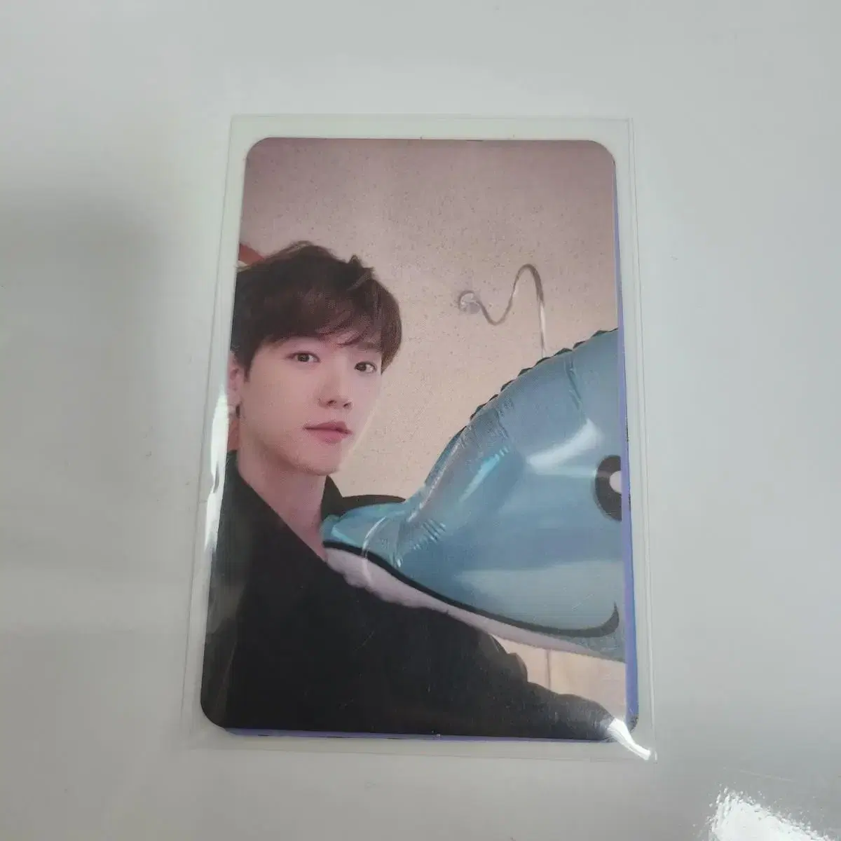 exo baekhyun photocard dolphinkung