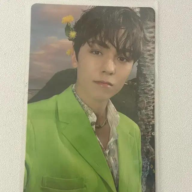 세븐틴 섹터 17 버논 포카