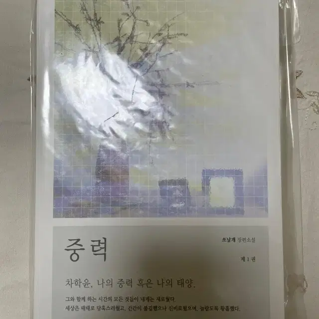 쏘날개 그럼에도 불구하고 + 중력