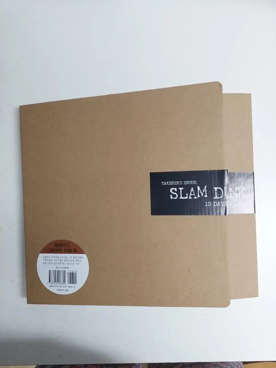 slam dunk illustrated book