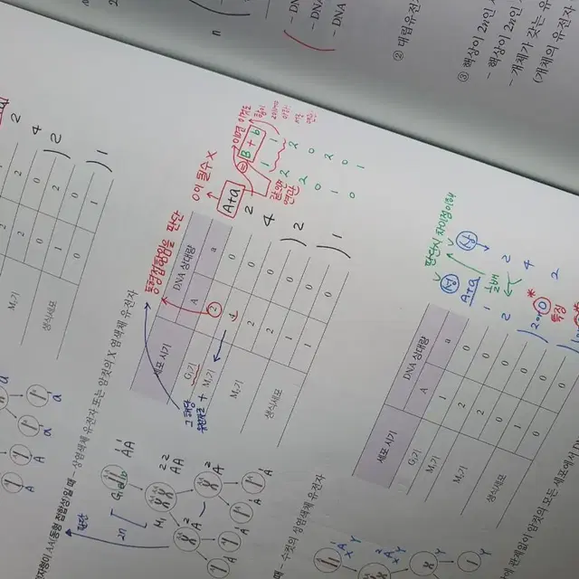 2024 메가스터디 한종철 과탐 생명과학1 철두철미 세트